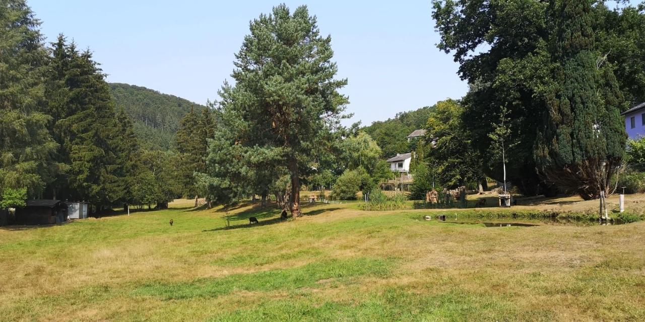 Вилла Ferienhaus Kylltal Zemmer Экстерьер фото